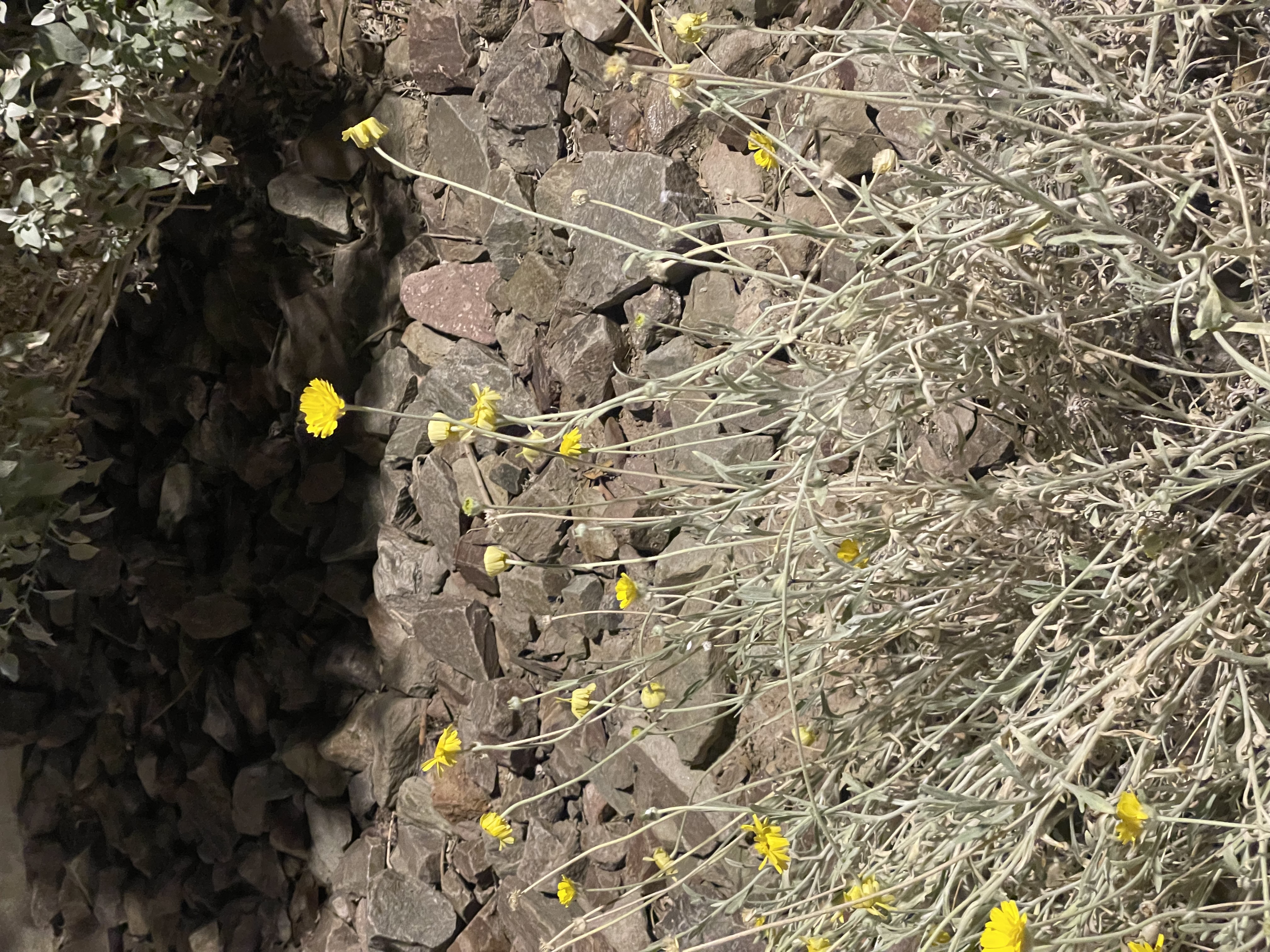 equitable contracting